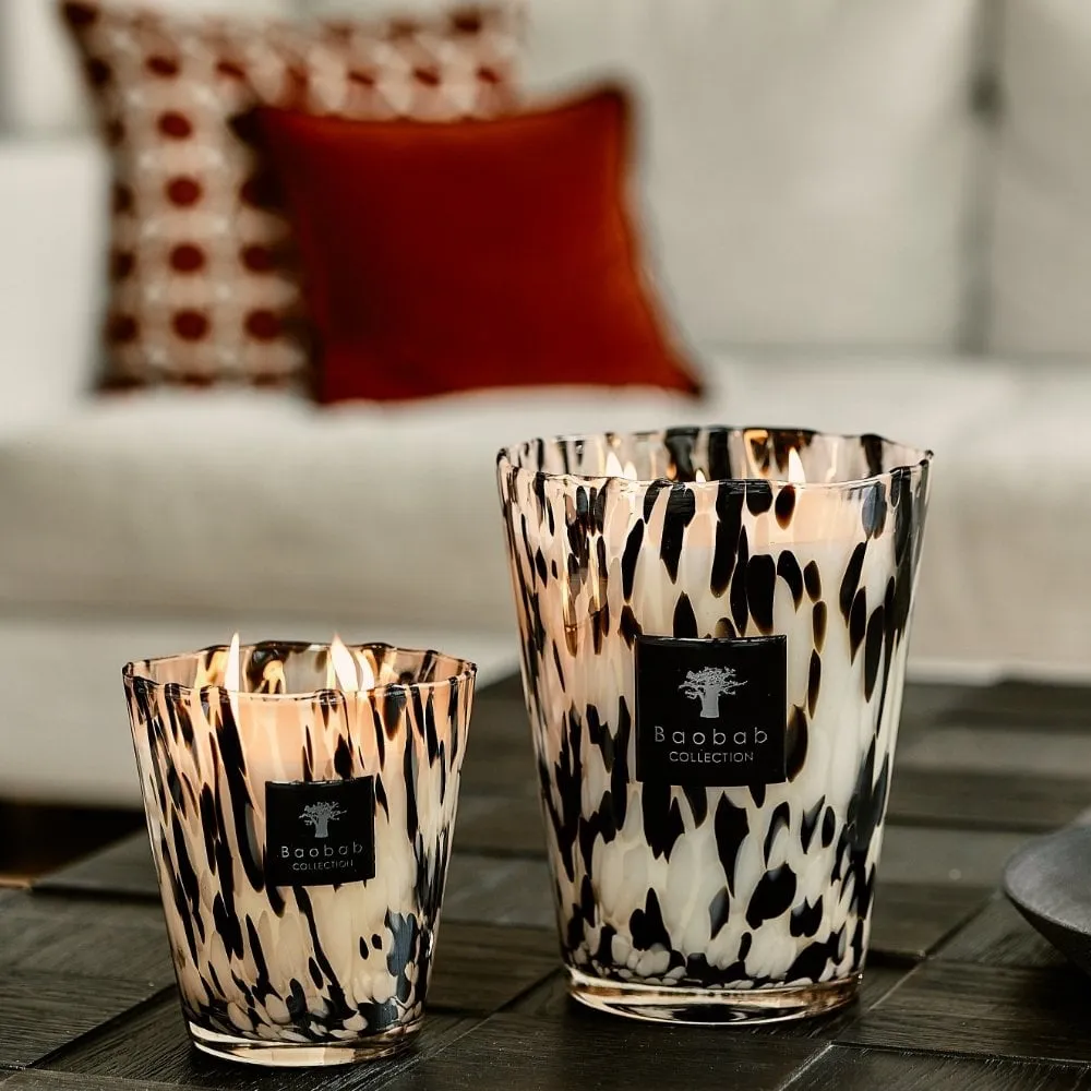 Baobab Collection Max 24 Pearls Black Candle
