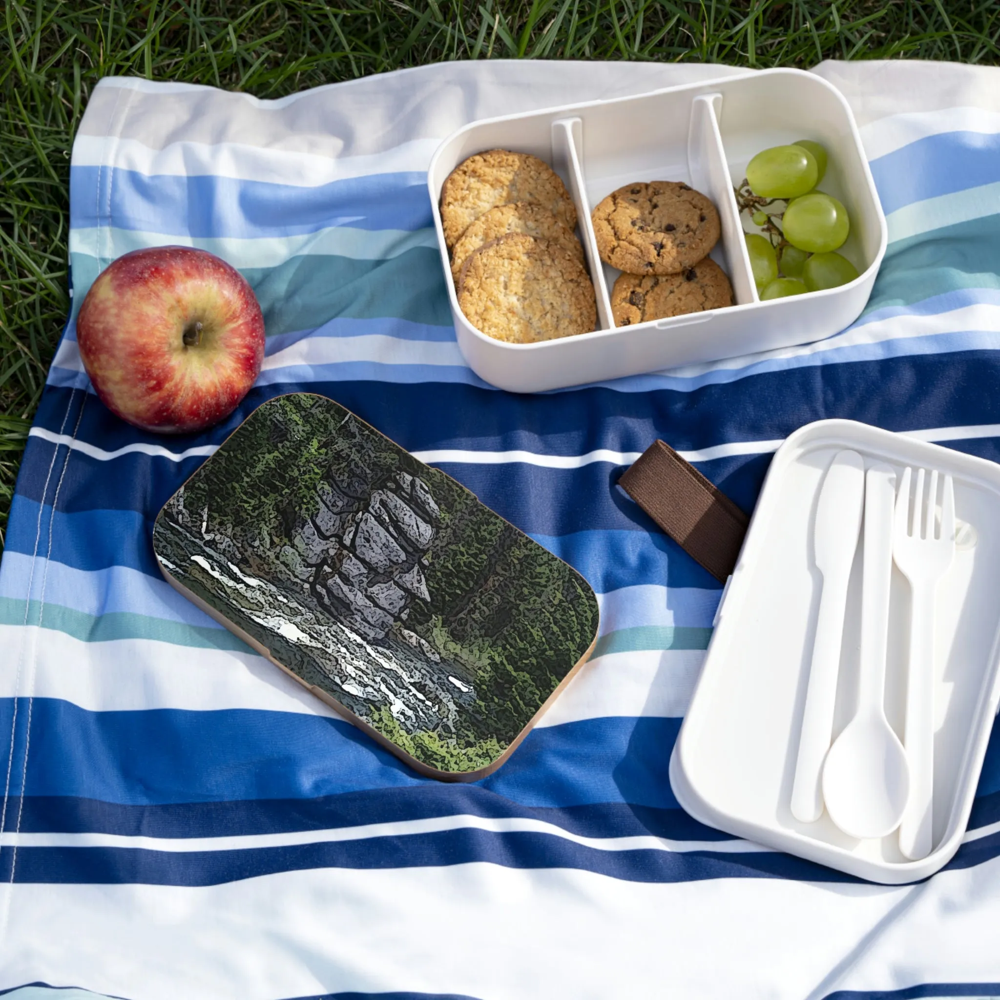 Bento Lunch Box ..."I Am Innocent" ... Tricky-Dick Immortalized ... Nixon Rock: Along The River ... Central Idaho, Summer 2020 ... Original Works ...
