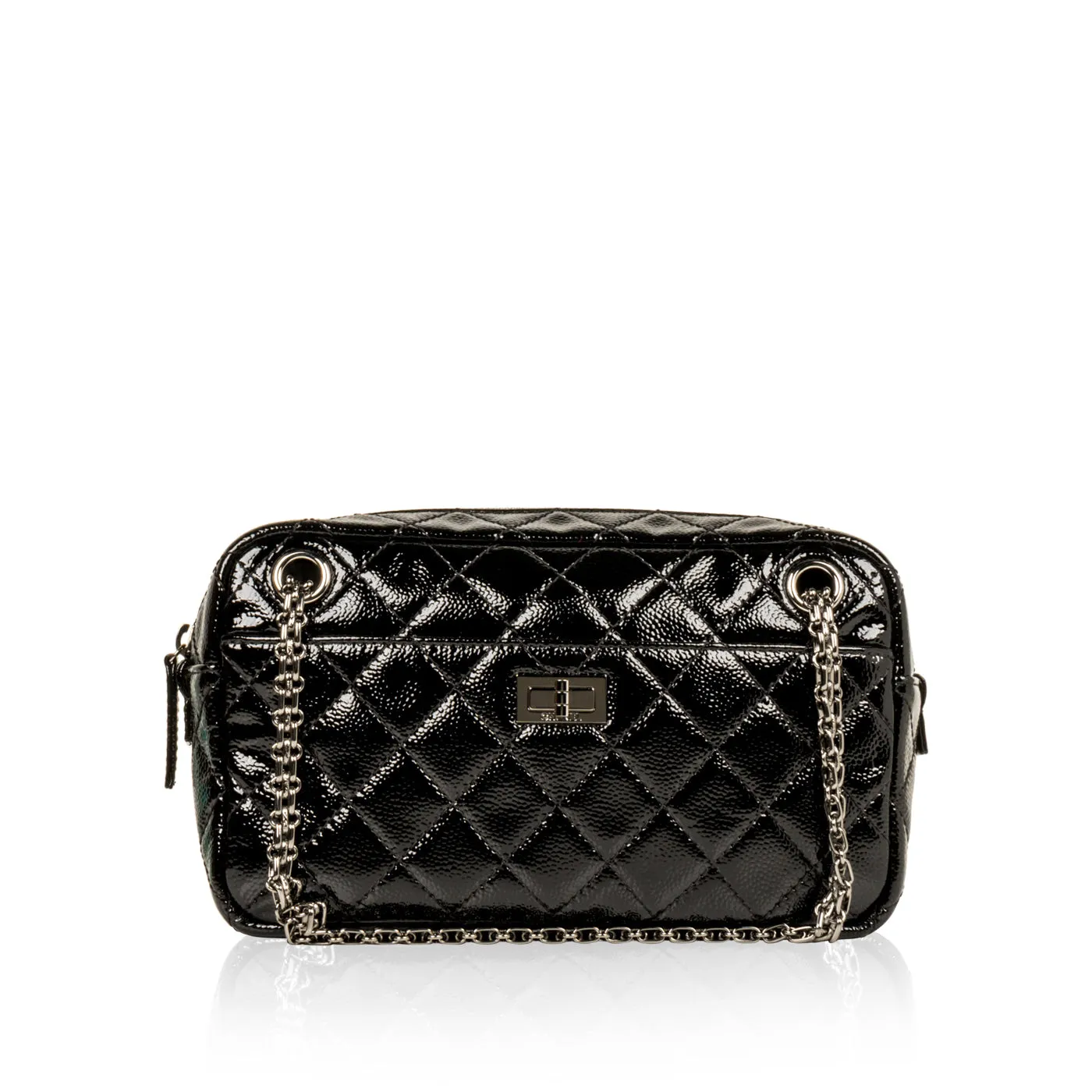 chanel Camera case