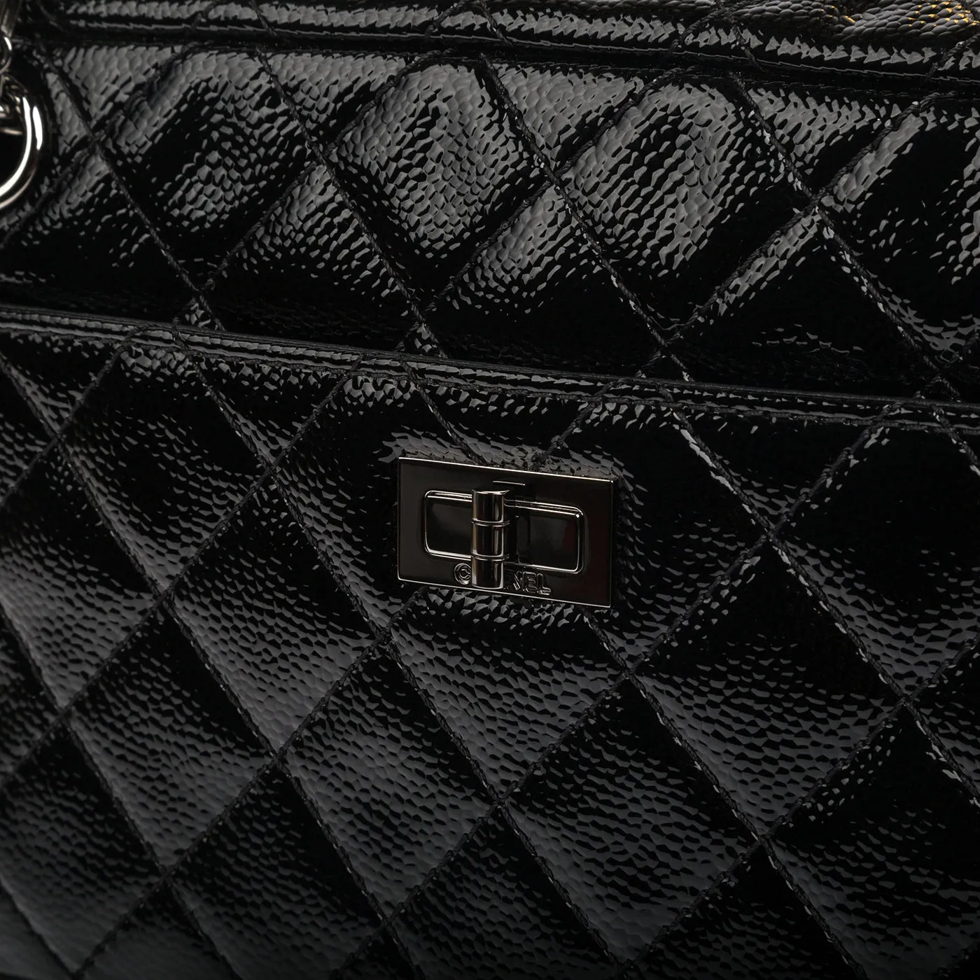 chanel Camera case