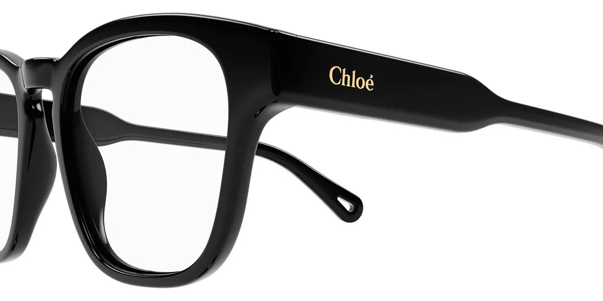 Chloé® CH0161O