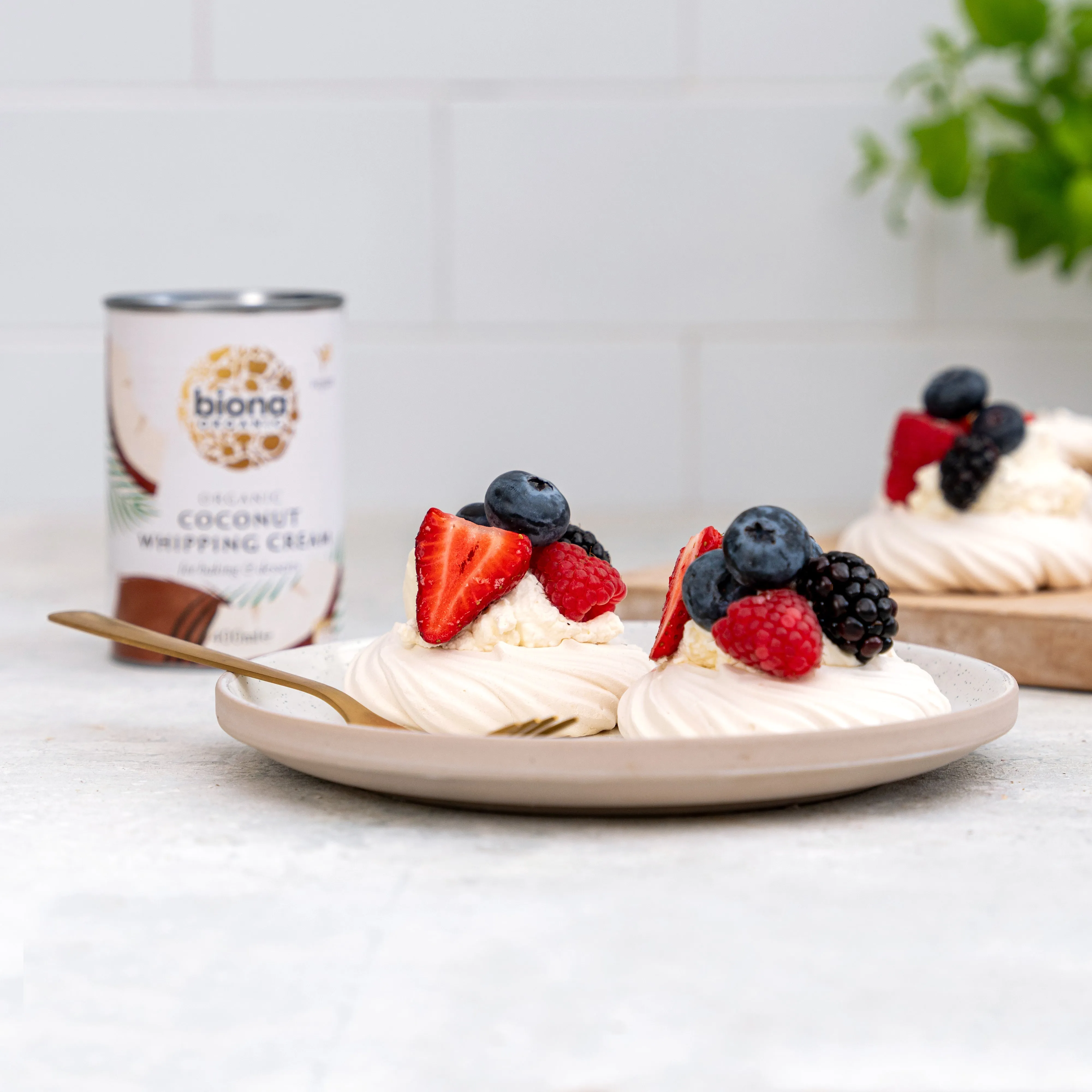 COCONUT WHIPPING CREAM