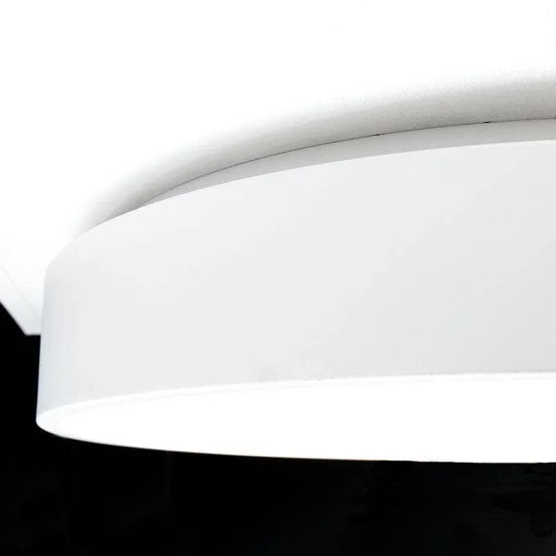 Coral Flush Ceiling Light White