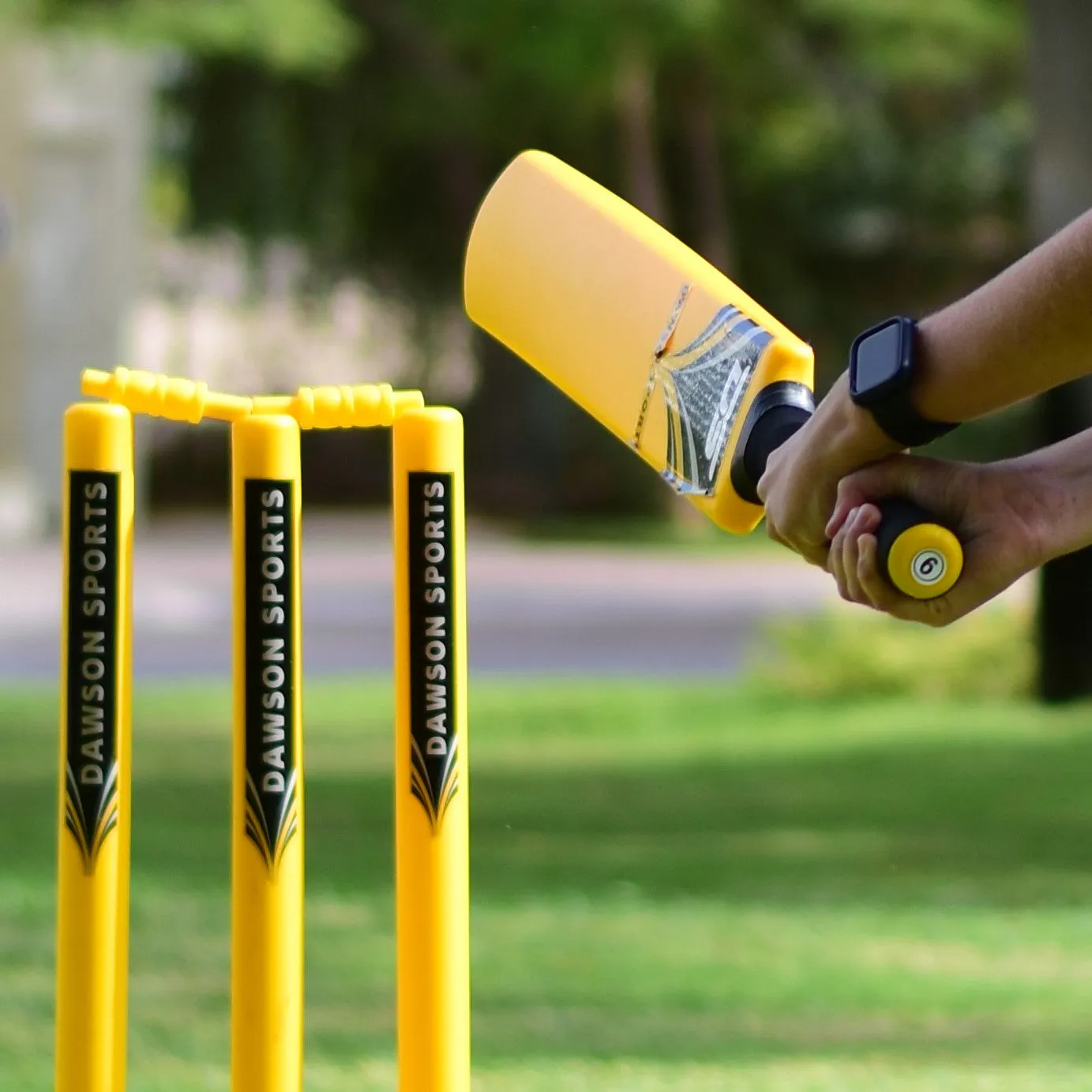 Cricket Set (2 sizes available)