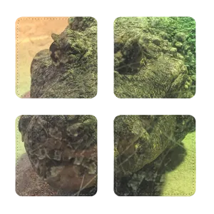 Crocodiles Sublimation Coasters Pack of Four