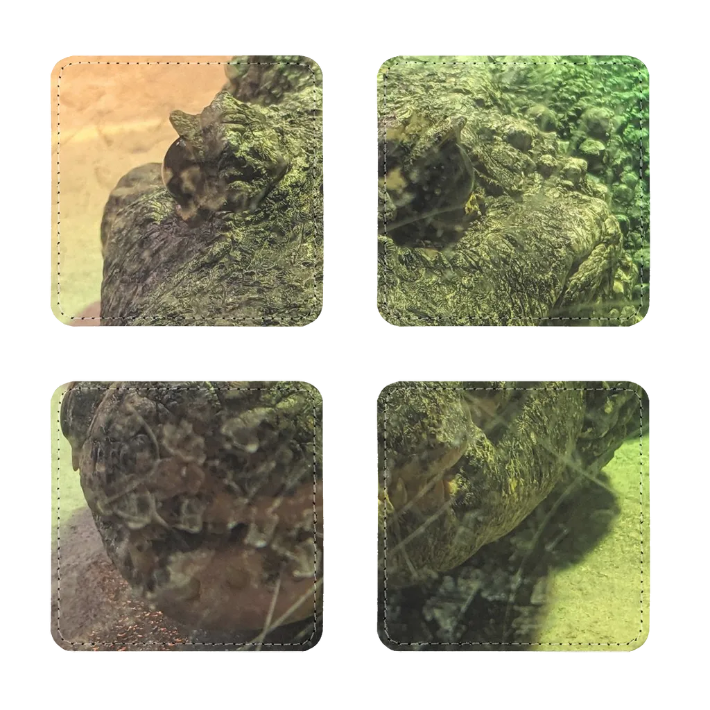 Crocodiles Sublimation Coasters Pack of Four