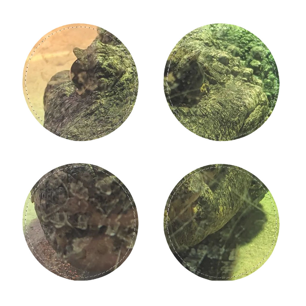 Crocodiles Sublimation Coasters Pack of Four