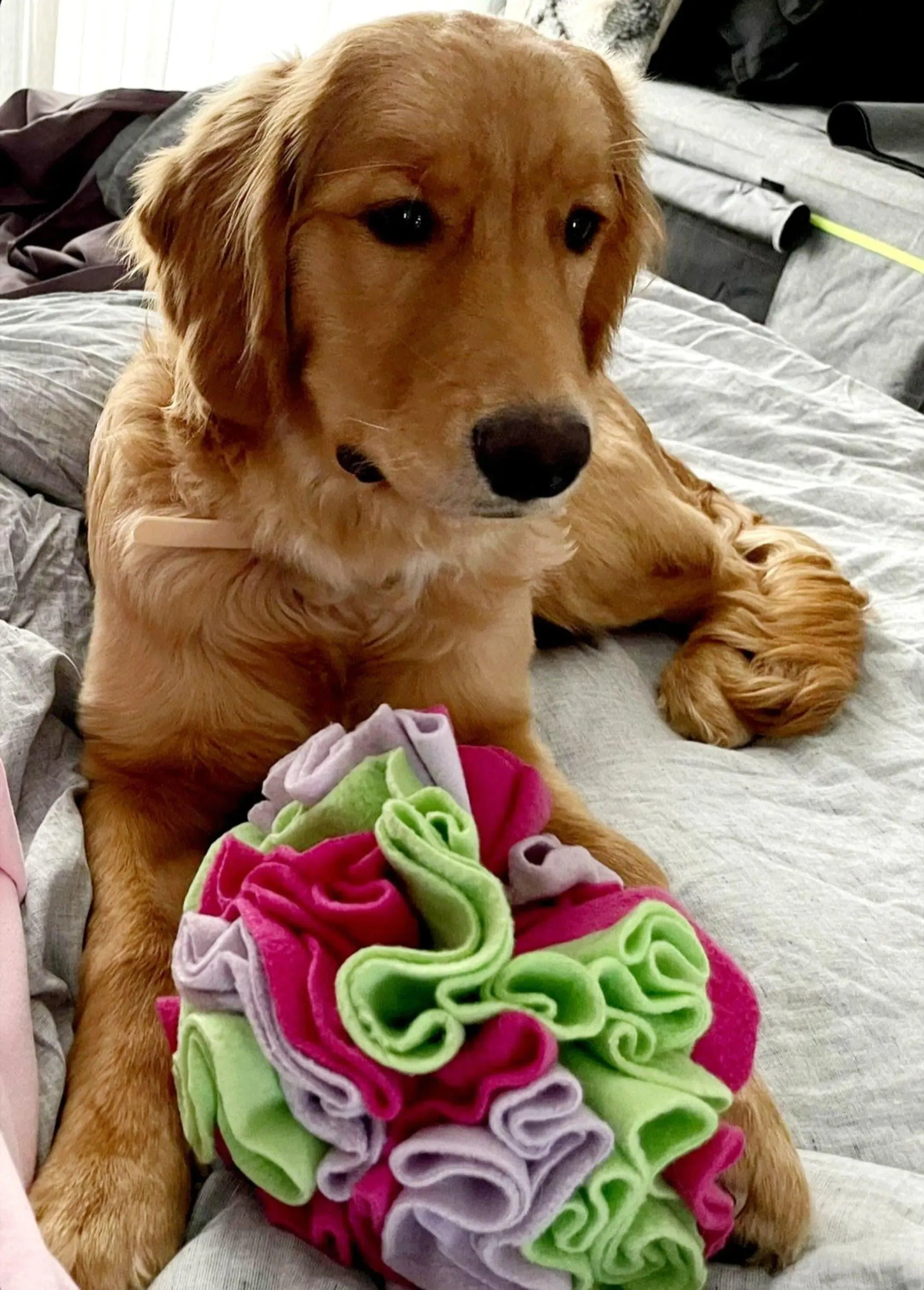 Custom Snuffle Ball