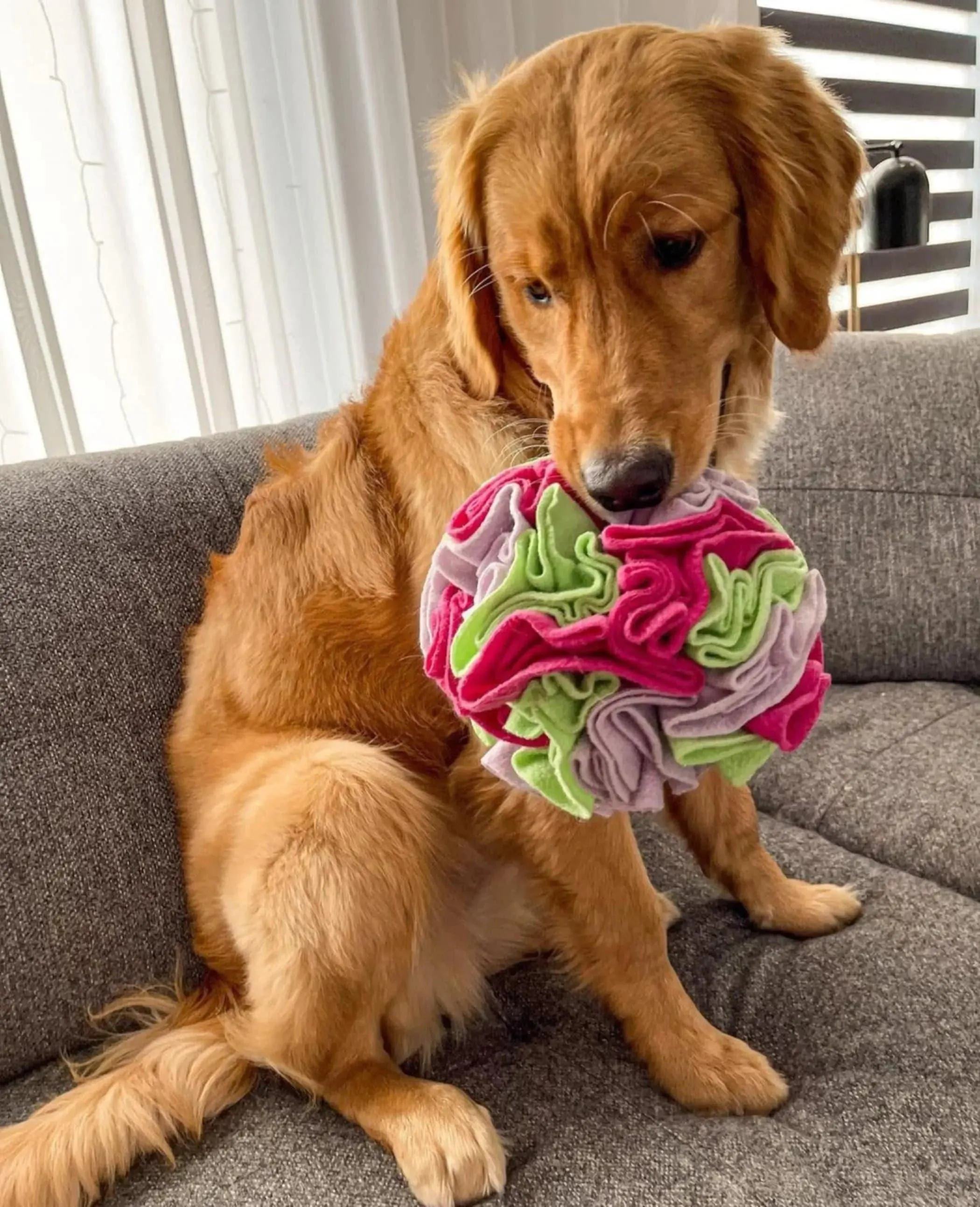 Custom Snuffle Ball