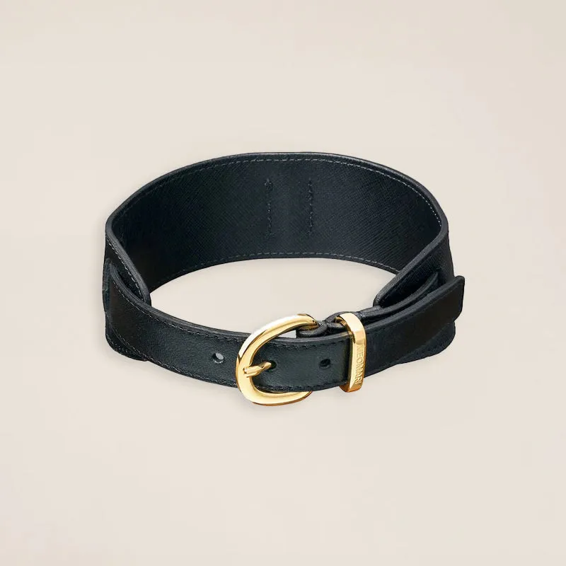 Lou Collar
