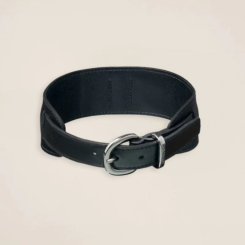 Lou Collar