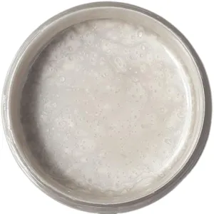 Pearl White - Luster Epoxy Paste