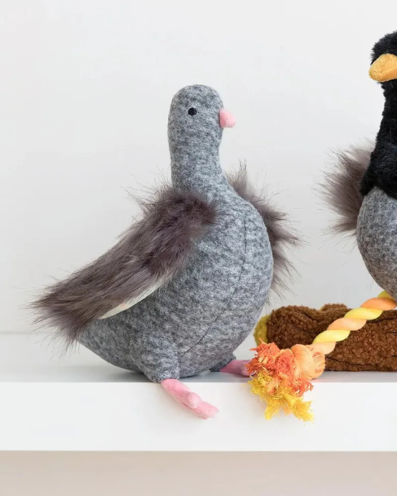 Pecky Pigeon Squeaky Dog Toy