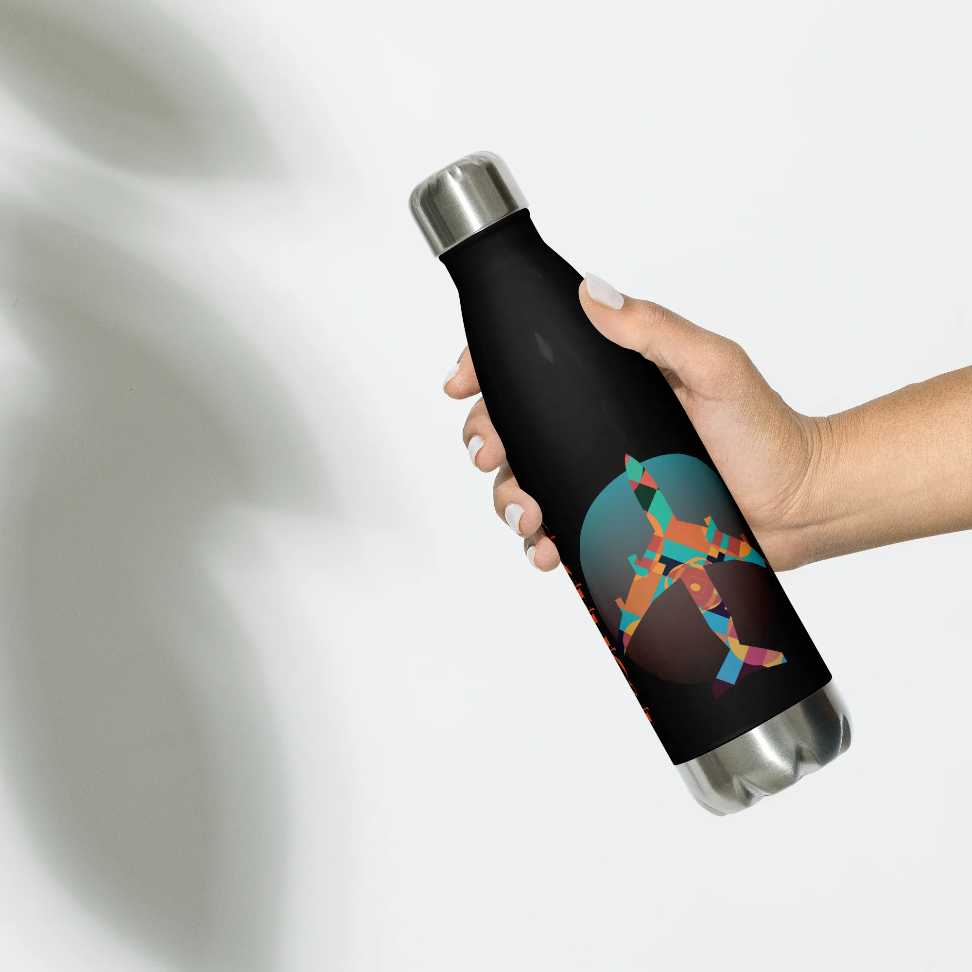 Personalized Stainless steel water bottle - Aeroplane