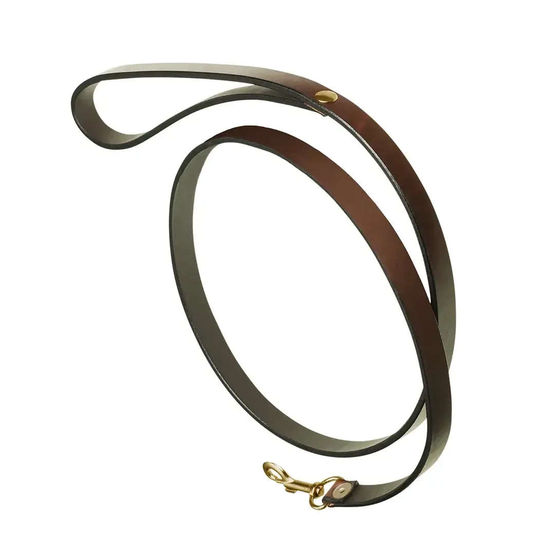Plain Brown Leather Dog Lead by Pampeano