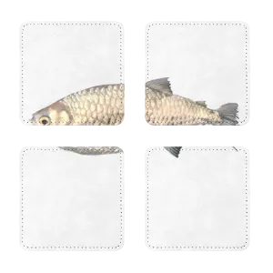 Silver Fish Sublimation Coasters Pack of Four