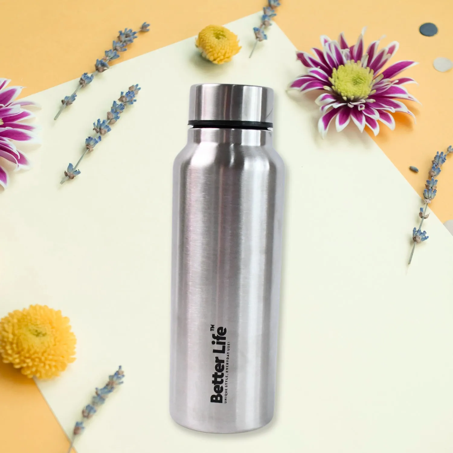Stainless Steel Vacuum Insulated Drink Bottle (750ml)